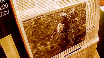 Ducth newspaper Kenyan flowerfarm worker